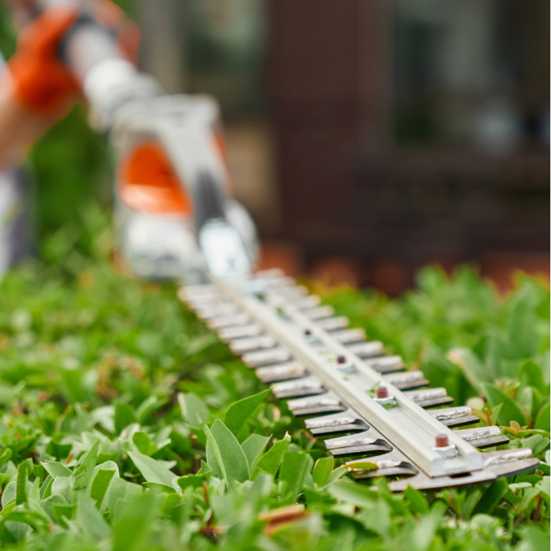 Hedge Cutting