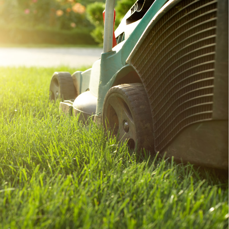 Lawn mowing