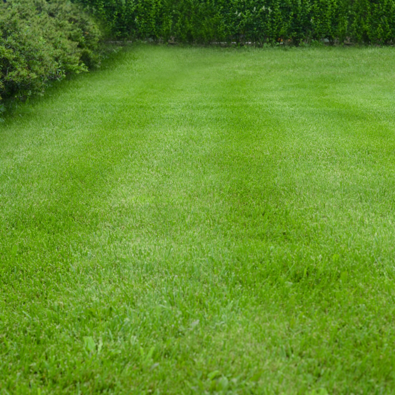 Lawn treatments
