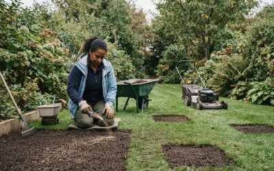 How to Reseed a Lawn: A Practical UK Guide