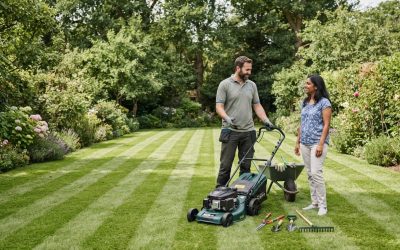 Local Lawn Cutting Service in New Malden: How to Choose the Right One